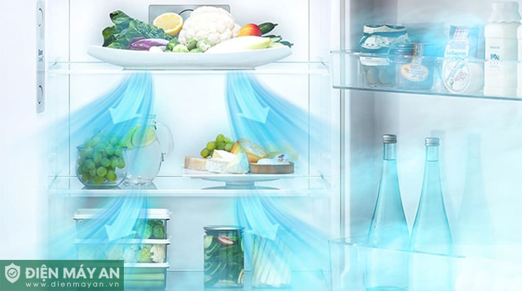 Tủ lạnh LG Inverter 335 lít LTB33BLG